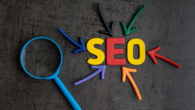 Chiropractors SEO services