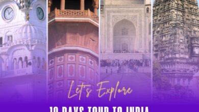 10 days tour to india