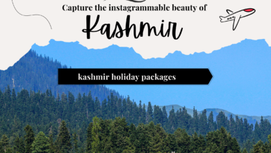 Kashmir Holiday Packages for Real Travel Experiences