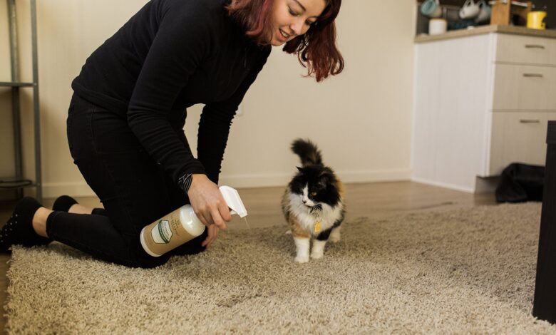 Pet Stain and Odor Removal