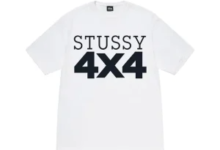 Stussy hoodie and why it continues to be