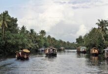 5 night kerala honeymoon trip