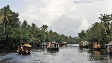 5 night kerala honeymoon trip