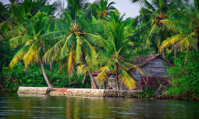7 days kerala tours from cochin