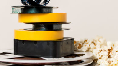 hydraulic oil seal
