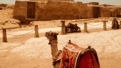 Jaisalmer Camel Safari Tours