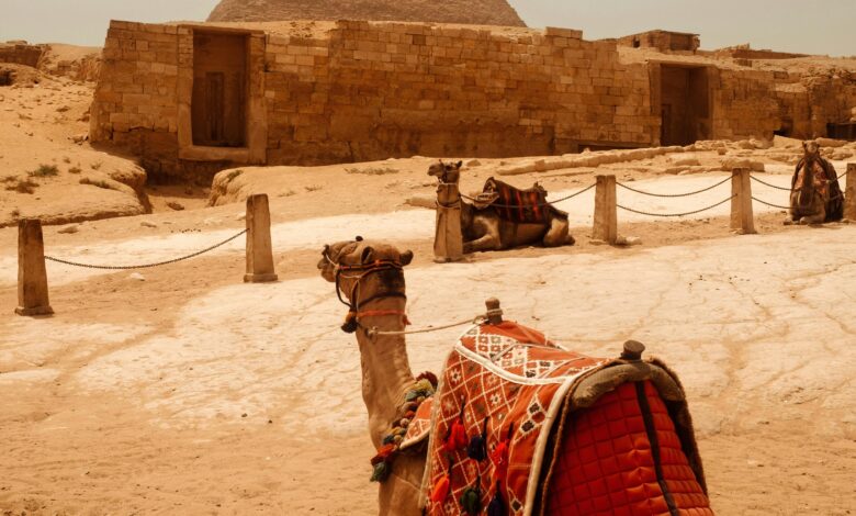 Jaisalmer Camel Safari Tours