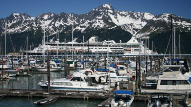 Cruise Ship Transfer to Seward