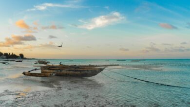 best time to visit tanzania for safari