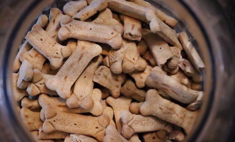 best grain free dog food