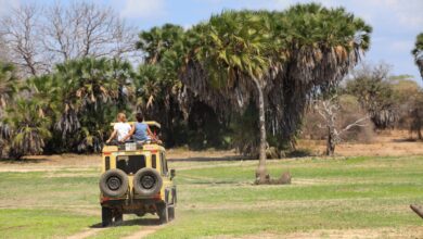 masai mara national park packages