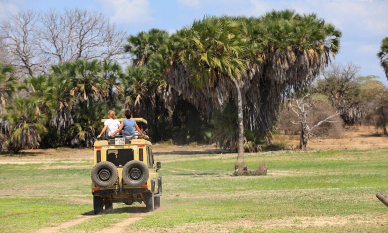 masai mara national park packages
