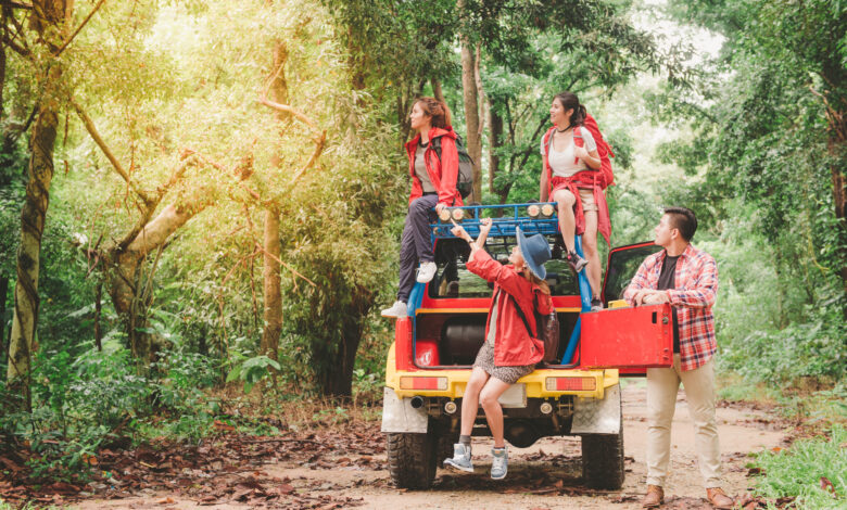 serengeti national park tours