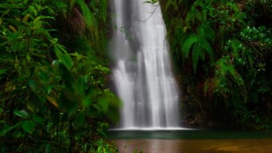 place to visit in Cherrapunje