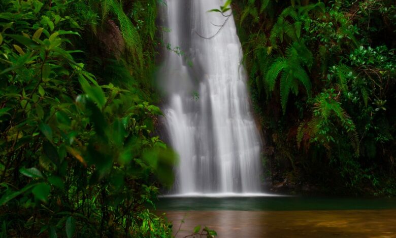 place to visit in Cherrapunje