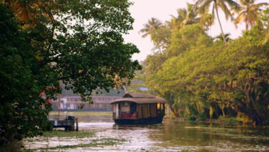 8 days kerala spice tour package