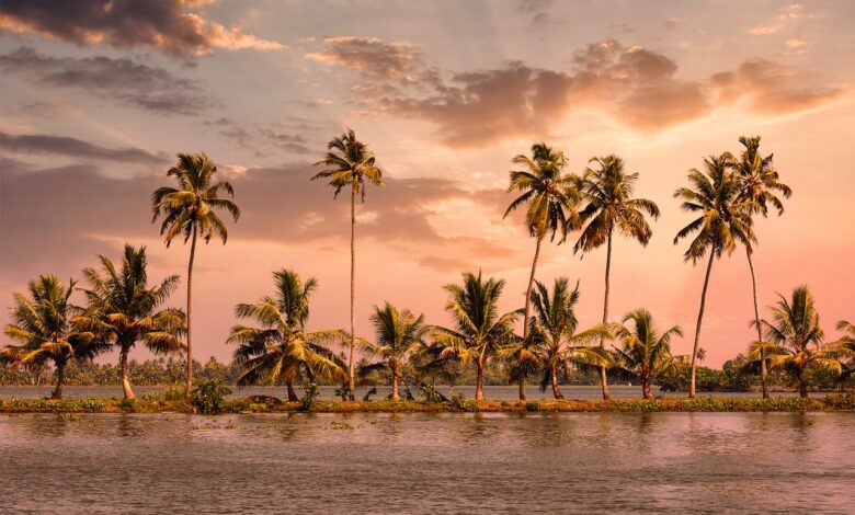 6 Days Kochi Munnar Thekkady Alleppey Tour