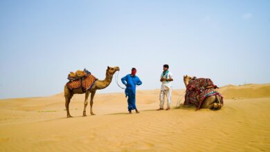 jaipur jodhpur jaisalmer tour packages
