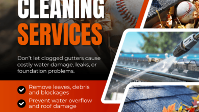 Gutter Cleaning in Williams Landing