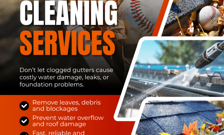 Gutter Cleaning in Williams Landing