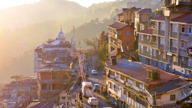 10 Days East India Wild Life Tour Package