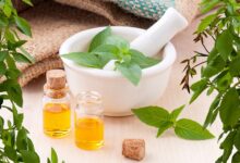 Herbal Extracts exporters in India