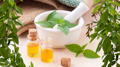 Herbal Extracts exporters in India