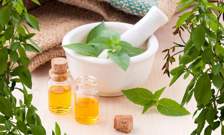 Herbal Extracts exporters in India